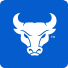 UB Bulls logo. 