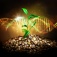 Zoom image: A photo illustration of a coffee plant emerging out of coffee beans with a transparent DNA symbol superimposed over it. 