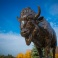 Bronze bison statue. 