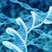 Microscopic image of DNA strand. 