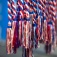Red, white and blue honor cords recognizing the service of veterans at commencement. 