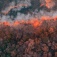 Aerial view of wildfire. 
