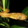 Zoom image: Photo: USGS 