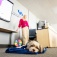 A therapy dog lies on the floor during a MSW class about incorporating therapy animals into social work practice. 