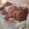 A newborn in an incubator bed. 
