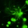 Microscopic view of Alzheimer's-related fibrils. 
