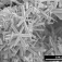 A scanning electron microscope image shows particles of vanadyl hydroxide (VOOH) shaped like stars. 