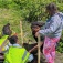A volunteer helping children plant a tree. 
